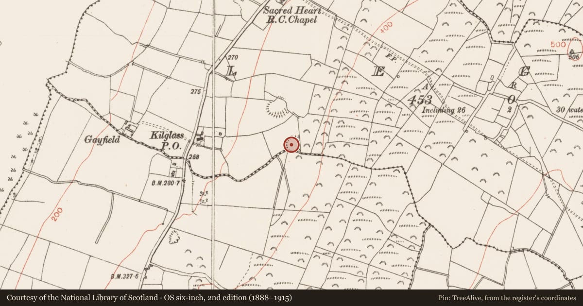 Ordnance Survey six-inch map, 2nd edition (1888–1915) covering the location of Ringfort - rath, Legan, County Roscommon, with a pin at the register's coordinates
