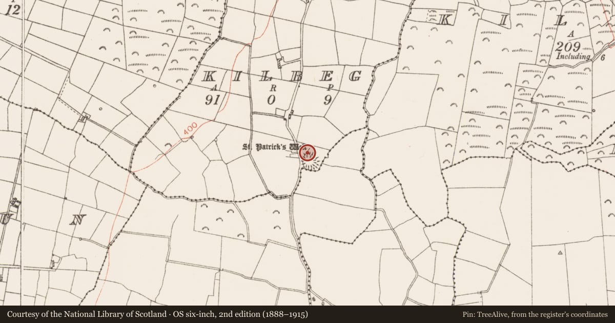 Ordnance Survey six-inch map, 2nd edition (1888–1915) covering the location of Ritual site - holy well, Kilbeg, County Roscommon, with a pin at the register's coordinates