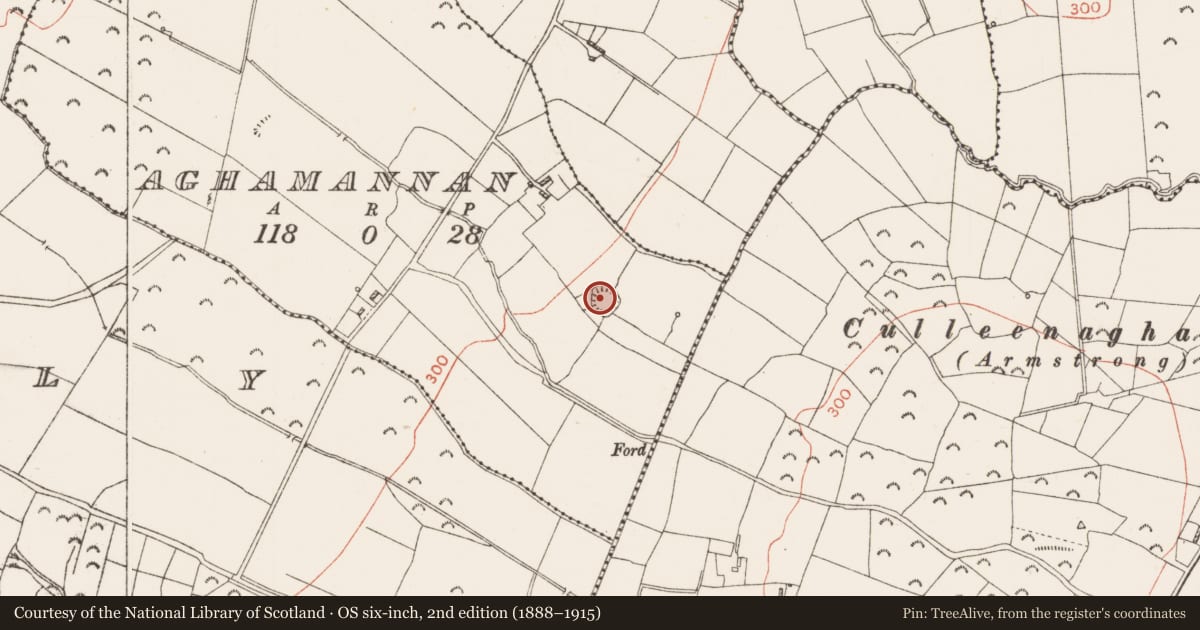 Ordnance Survey six-inch map, 2nd edition (1888–1915) covering the location of Ringfort - rath, Aghamannan, County Roscommon, with a pin at the register's coordinates