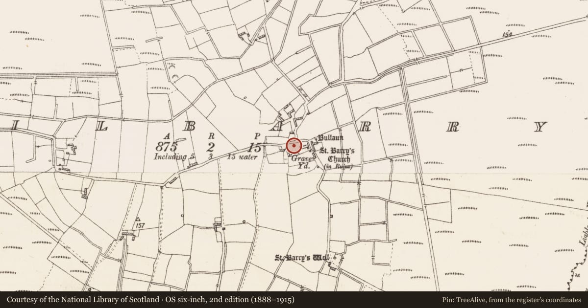 Ordnance Survey six-inch map, 2nd edition (1888–1915) covering the location of Graveyard, Kilbarry, County Roscommon, with a pin at the register's coordinates
