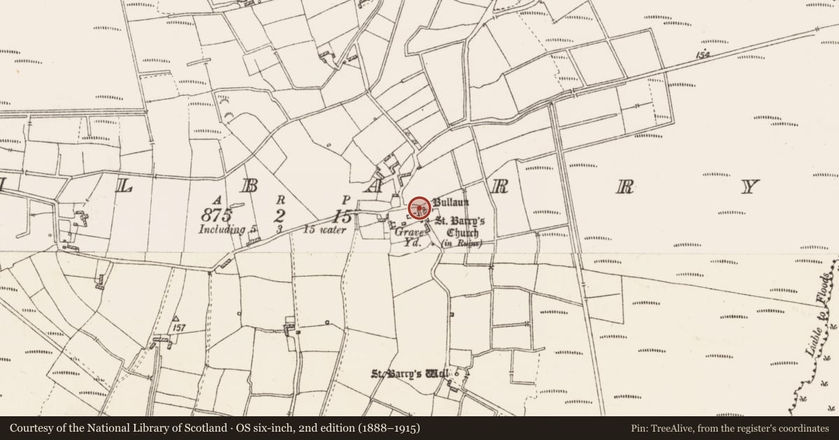Ordnance Survey six-inch map, 2nd edition (1888–1915) covering the location of Bullaun stone, Kilbarry, County Roscommon, with a pin at the register's coordinates