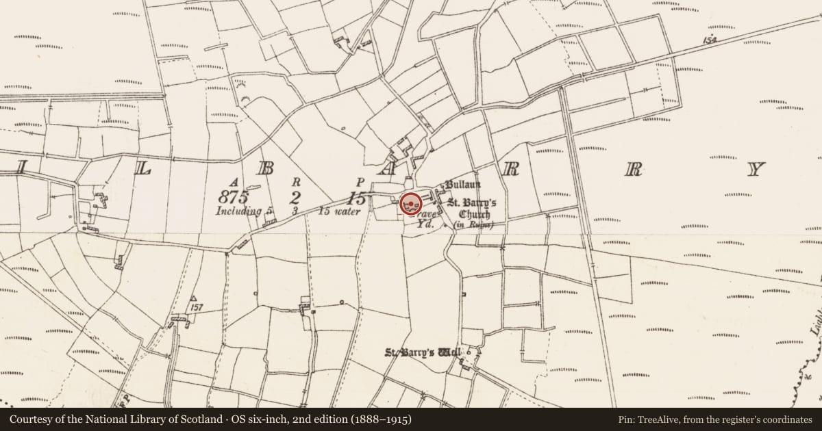 Ordnance Survey six-inch map, 2nd edition (1888–1915) covering the location of Cross-slab, Kilbarry, County Roscommon, with a pin at the register's coordinates