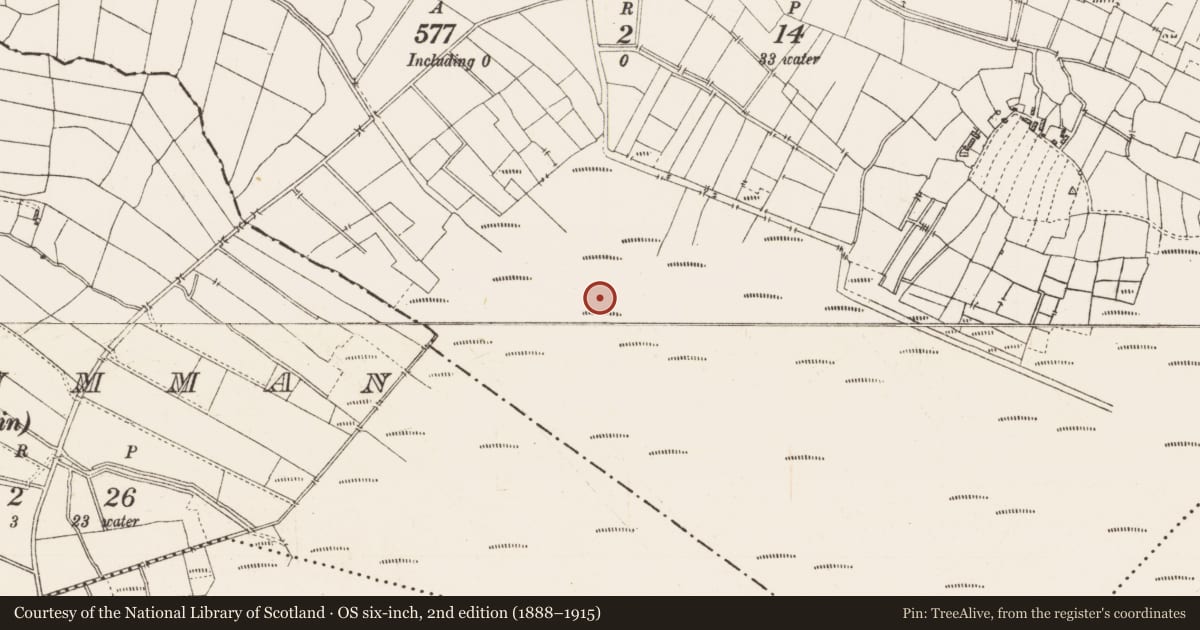 Ordnance Survey six-inch map, 2nd edition (1888–1915) covering the location of Road - class 2 togher, Caul, County Roscommon, with a pin at the register's coordinates