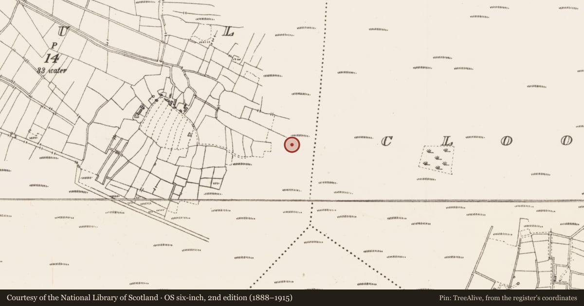Ordnance Survey six-inch map, 2nd edition (1888–1915) covering the location of Road - class 3 togher, Caul, County Roscommon, with a pin at the register's coordinates