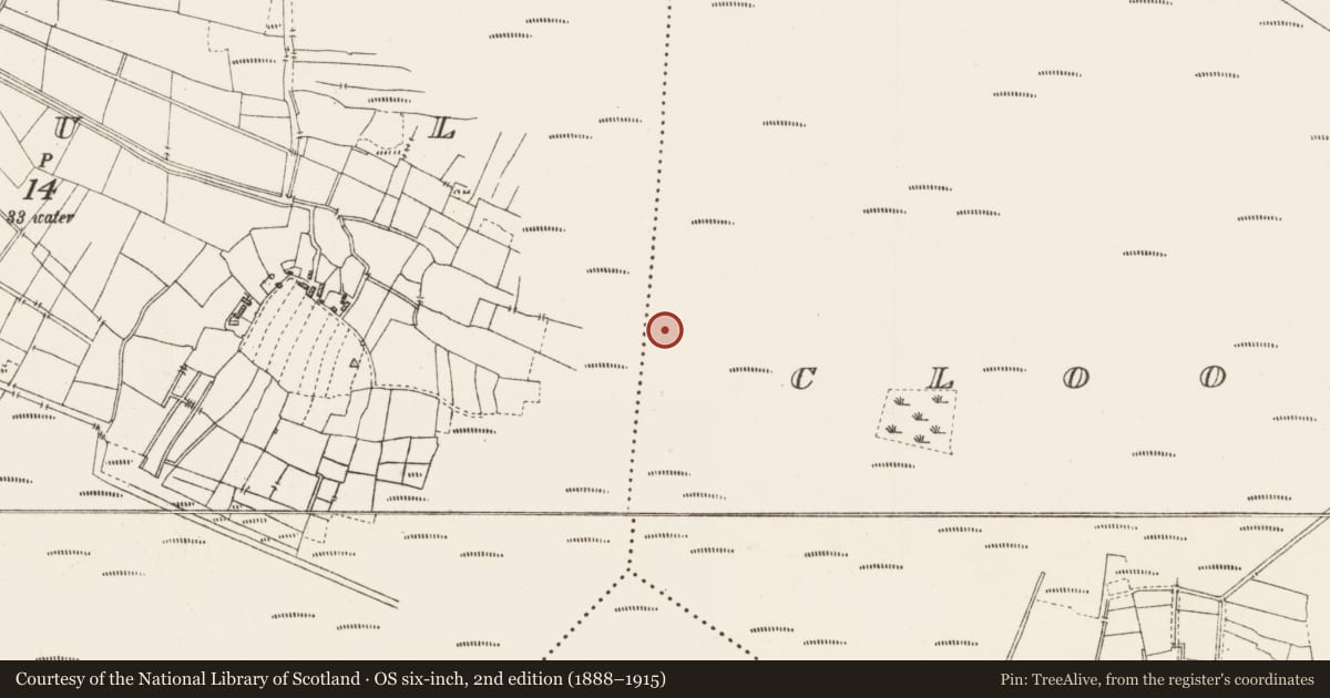 Ordnance Survey six-inch map, 2nd edition (1888–1915) covering the location of Platform - peatland, Cloonshannagh, County Roscommon, with a pin at the register's coordinates