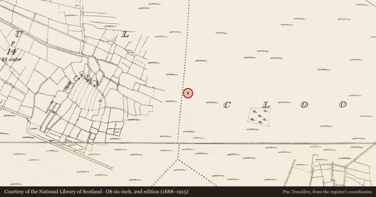Ordnance Survey six-inch map, 2nd edition (1888–1915) covering the location of Platform - peatland, Cloonshannagh, County Roscommon, with a pin at the register's coordinates