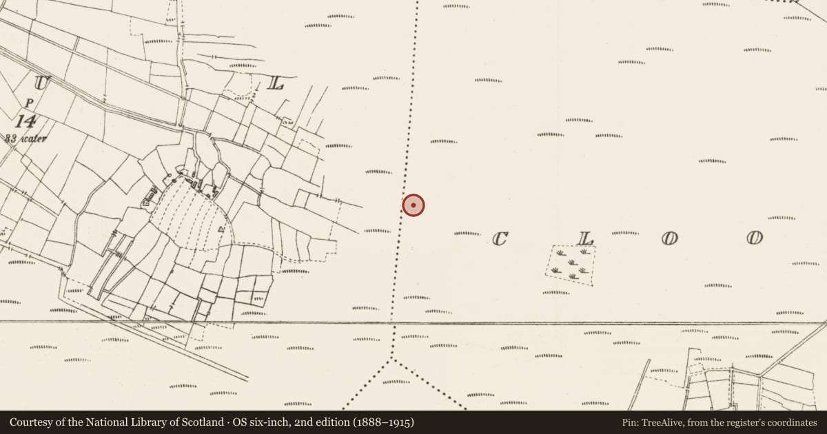 Ordnance Survey six-inch map, 2nd edition (1888–1915) covering the location of Platform - peatland, Cloonshannagh, County Roscommon, with a pin at the register's coordinates