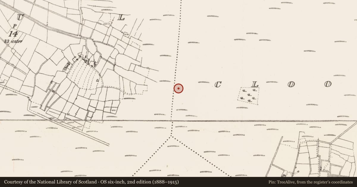 Ordnance Survey six-inch map, 2nd edition (1888–1915) covering the location of Platform - peatland, Cloonshannagh, County Roscommon, with a pin at the register's coordinates