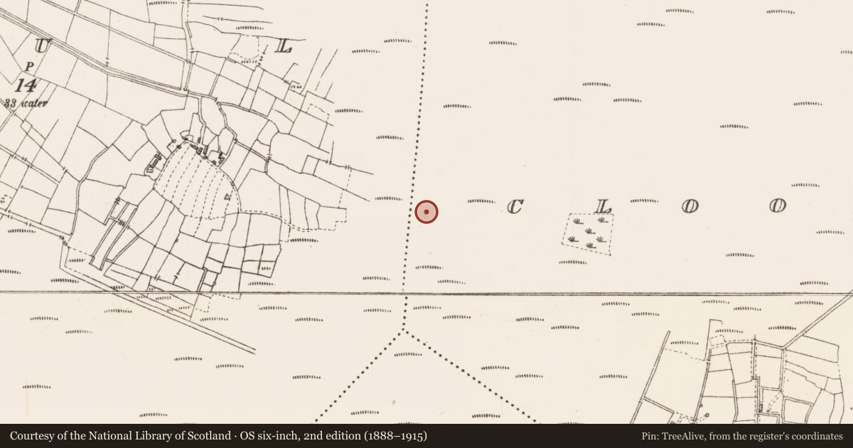 Ordnance Survey six-inch map, 2nd edition (1888–1915) covering the location of Platform - peatland, Cloonshannagh, County Roscommon, with a pin at the register's coordinates