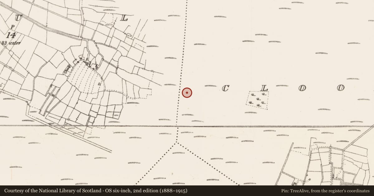 Ordnance Survey six-inch map, 2nd edition (1888–1915) covering the location of Platform - peatland, Cloonshannagh, County Roscommon, with a pin at the register's coordinates