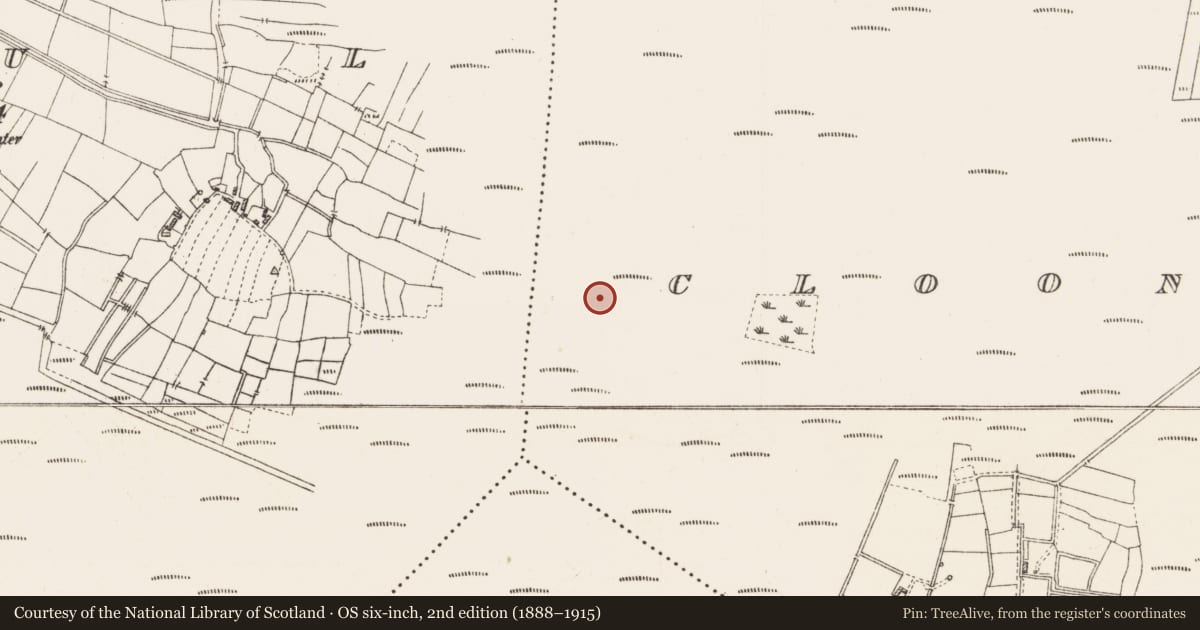 Ordnance Survey six-inch map, 2nd edition (1888–1915) covering the location of Platform - peatland, Cloonshannagh, County Roscommon, with a pin at the register's coordinates