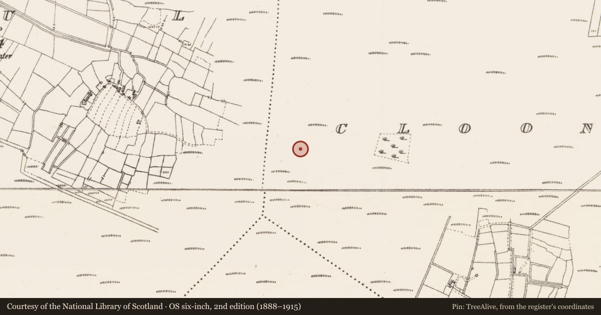 Ordnance Survey six-inch map, 2nd edition (1888–1915) covering the location of Platform - peatland, Cloonshannagh, County Roscommon, with a pin at the register's coordinates