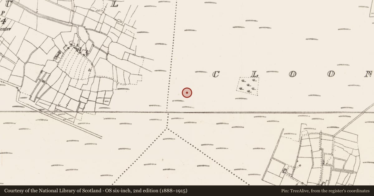 Ordnance Survey six-inch map, 2nd edition (1888–1915) covering the location of Platform - peatland, Cloonshannagh, County Roscommon, with a pin at the register's coordinates