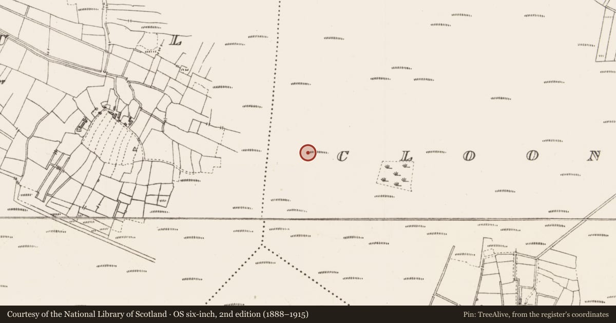Ordnance Survey six-inch map, 2nd edition (1888–1915) covering the location of Platform - peatland, Cloonshannagh, County Roscommon, with a pin at the register's coordinates