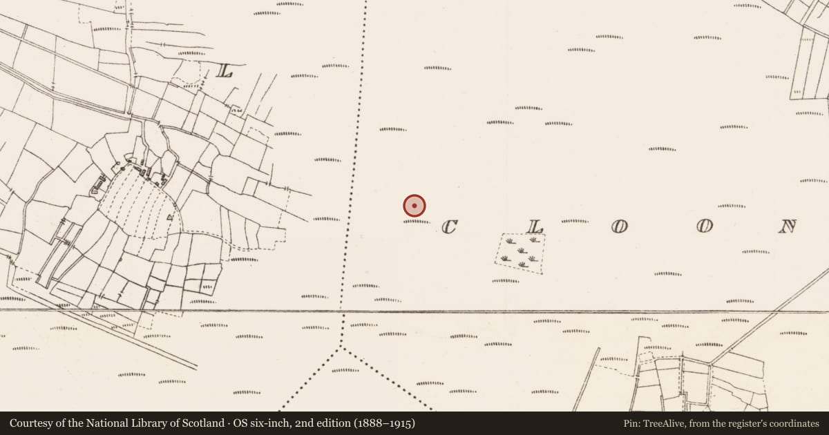 Ordnance Survey six-inch map, 2nd edition (1888–1915) covering the location of Platform - peatland, Cloonshannagh, County Roscommon, with a pin at the register's coordinates