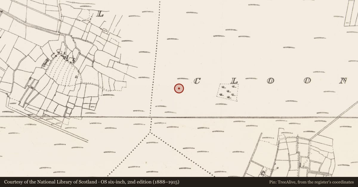 Ordnance Survey six-inch map, 2nd edition (1888–1915) covering the location of Platform - peatland, Cloonshannagh, County Roscommon, with a pin at the register's coordinates