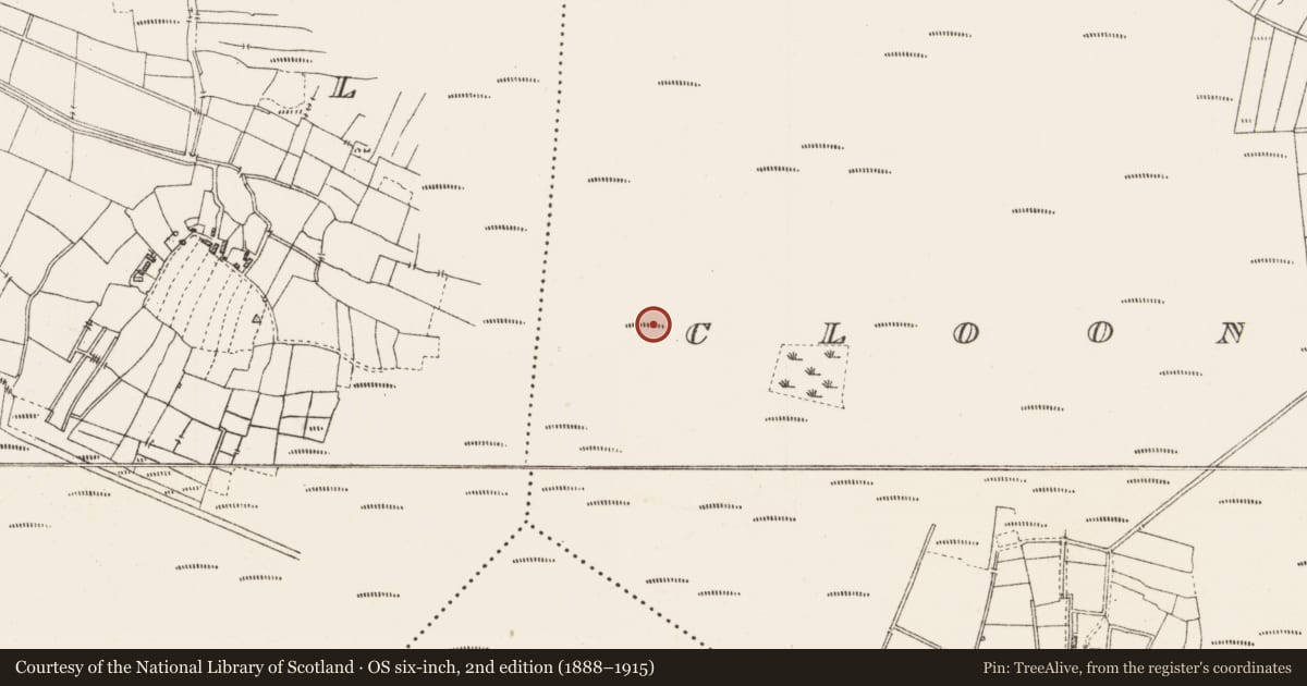 Ordnance Survey six-inch map, 2nd edition (1888–1915) covering the location of Platform - peatland, Cloonshannagh, County Roscommon, with a pin at the register's coordinates