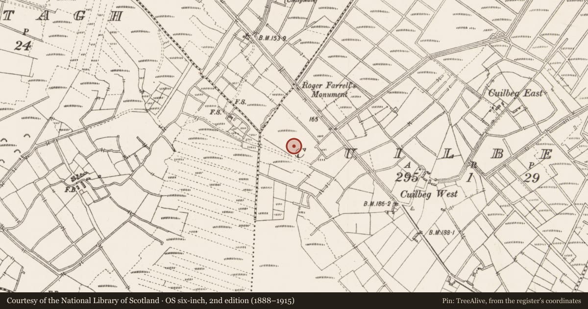 Ordnance Survey six-inch map, 2nd edition (1888–1915) covering the location of Platform - peatland, Cuilbeg, County Roscommon, with a pin at the register's coordinates
