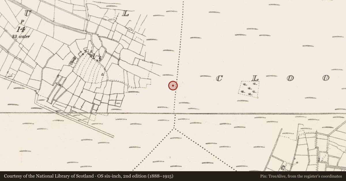 Ordnance Survey six-inch map, 2nd edition (1888–1915) covering the location of Structure - peatland, Caul, County Roscommon, with a pin at the register's coordinates