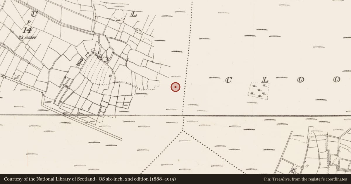 Ordnance Survey six-inch map, 2nd edition (1888–1915) covering the location of Platform - peatland, Caul, County Roscommon, with a pin at the register's coordinates
