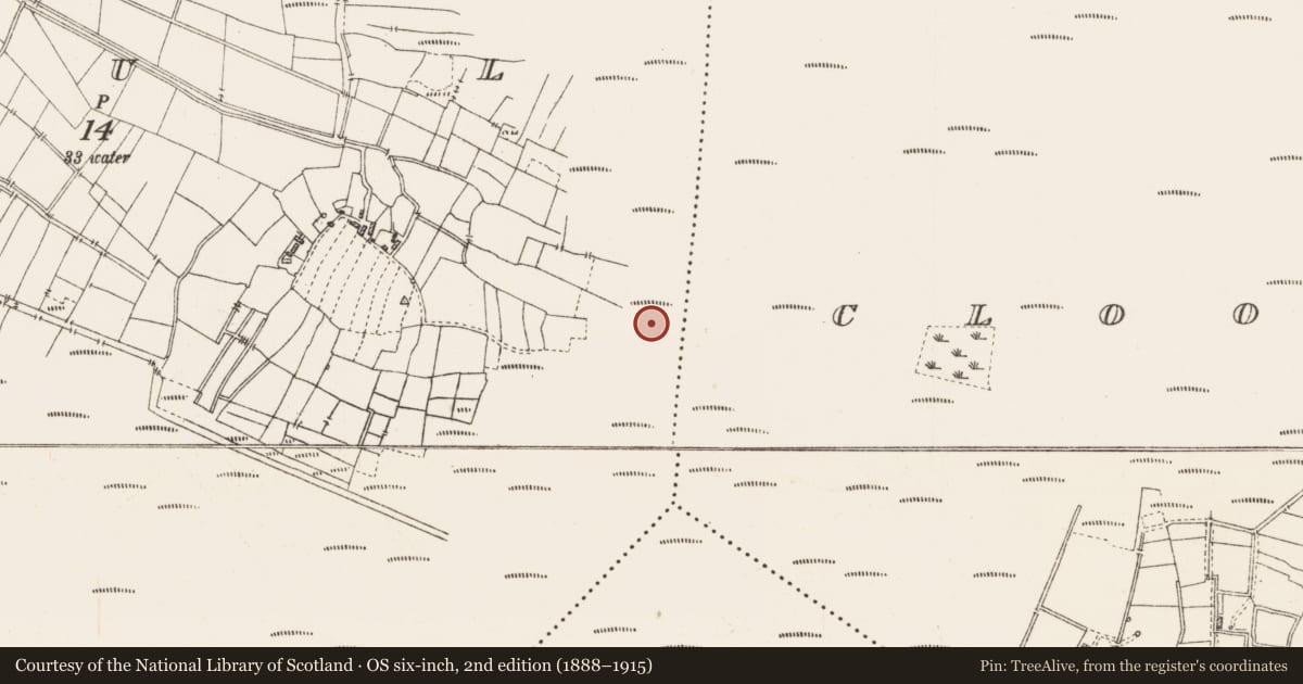 Ordnance Survey six-inch map, 2nd edition (1888–1915) covering the location of Platform - peatland, Caul, County Roscommon, with a pin at the register's coordinates