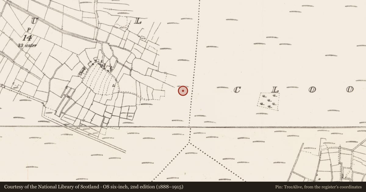 Ordnance Survey six-inch map, 2nd edition (1888–1915) covering the location of Platform - peatland, Caul, County Roscommon, with a pin at the register's coordinates