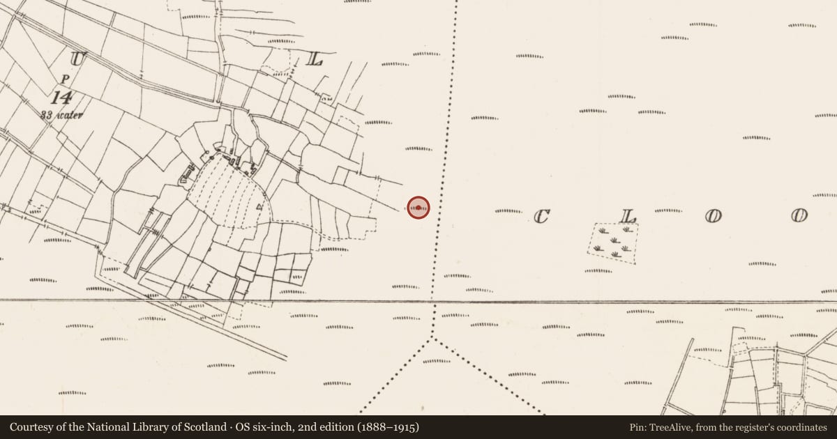 Ordnance Survey six-inch map, 2nd edition (1888–1915) covering the location of Platform - peatland, Caul, County Roscommon, with a pin at the register's coordinates