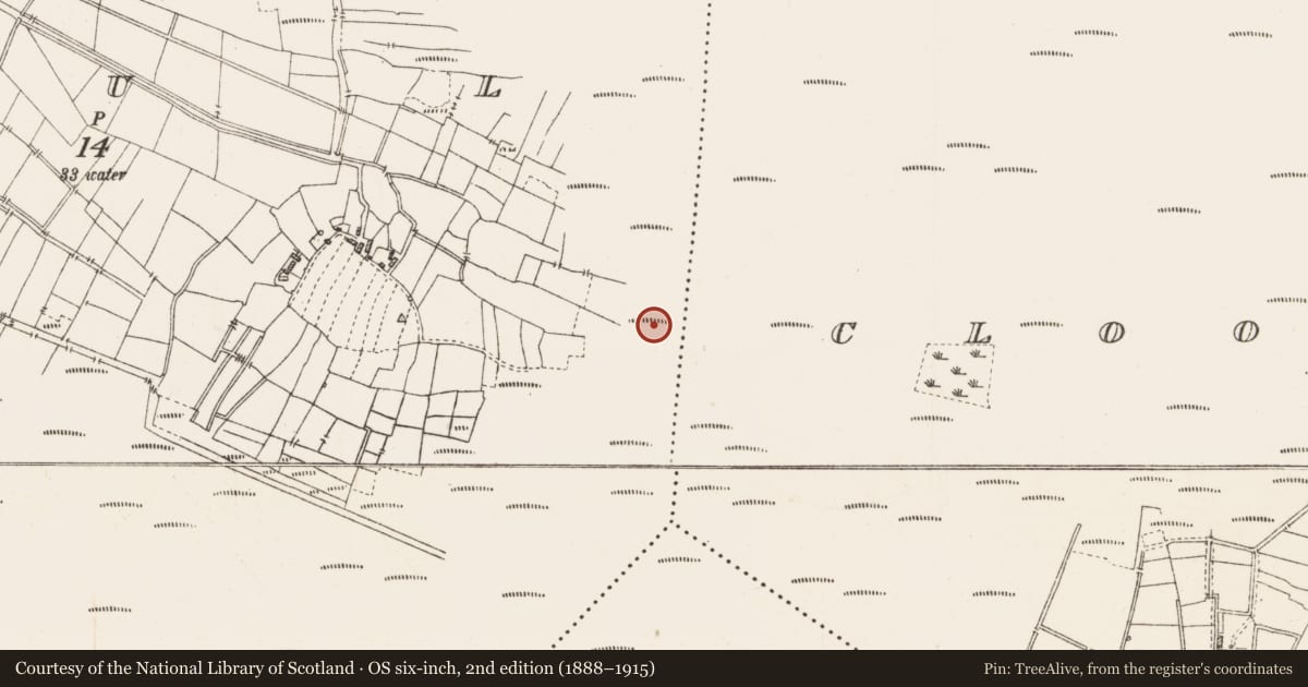 Ordnance Survey six-inch map, 2nd edition (1888–1915) covering the location of Platform - peatland, Caul, County Roscommon, with a pin at the register's coordinates
