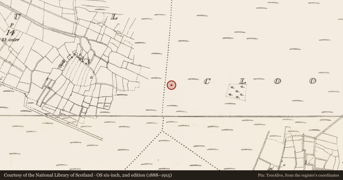 Ordnance Survey six-inch map, 2nd edition (1888–1915) covering the location of Structure - peatland, Cloonshannagh, County Roscommon, with a pin at the register's coordinates