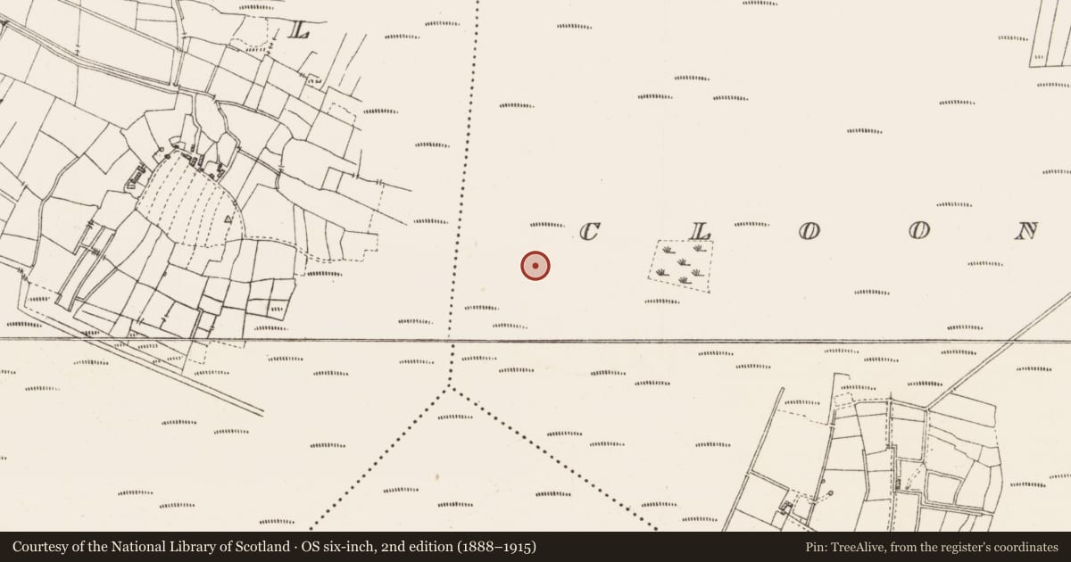Ordnance Survey six-inch map, 2nd edition (1888–1915) covering the location of Platform - peatland, Cloonshannagh, County Roscommon, with a pin at the register's coordinates