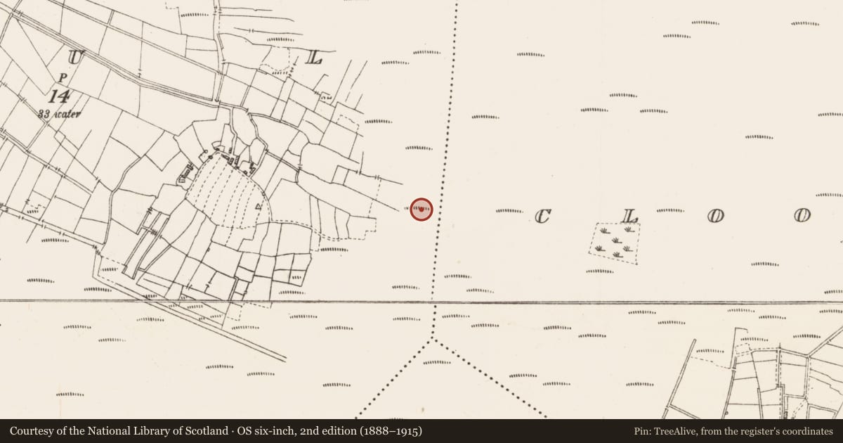 Ordnance Survey six-inch map, 2nd edition (1888–1915) covering the location of Platform - peatland, Caul, County Roscommon, with a pin at the register's coordinates