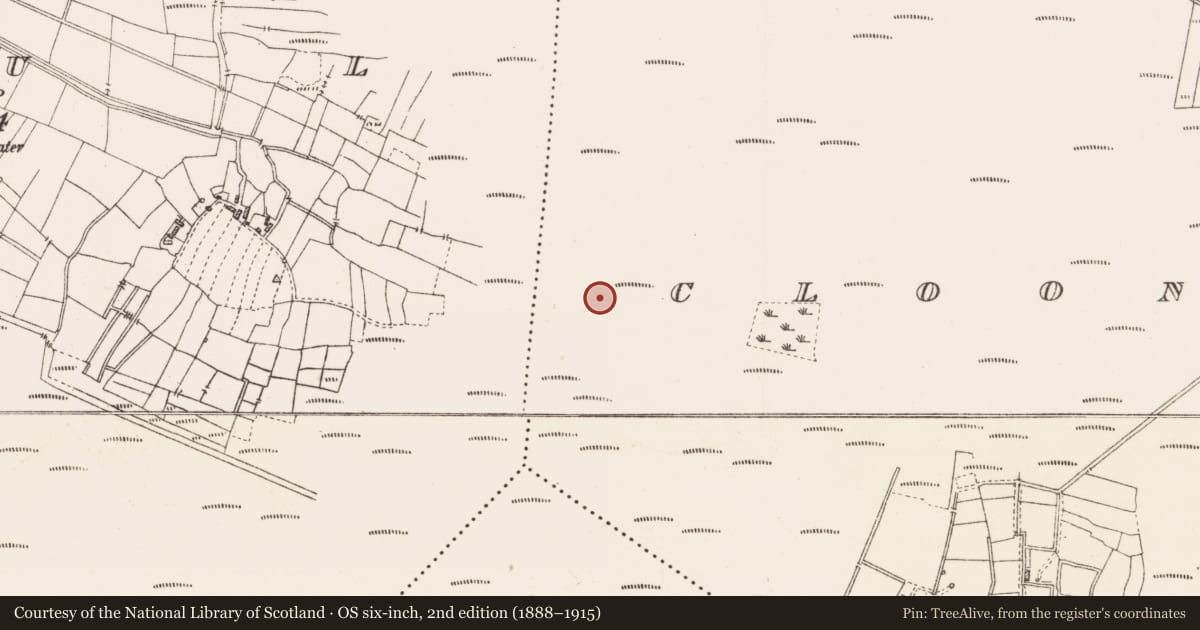 Ordnance Survey six-inch map, 2nd edition (1888–1915) covering the location of Platform - peatland, Cloonshannagh, County Roscommon, with a pin at the register's coordinates