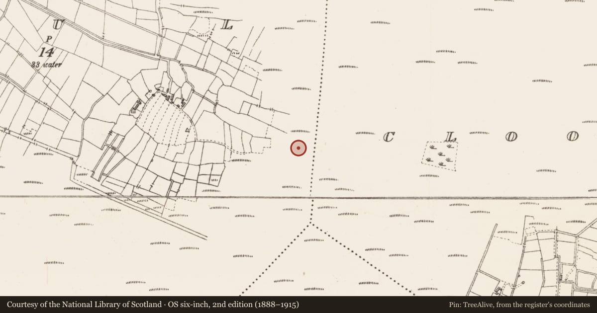 Ordnance Survey six-inch map, 2nd edition (1888–1915) covering the location of Platform - peatland, Caul, County Roscommon, with a pin at the register's coordinates