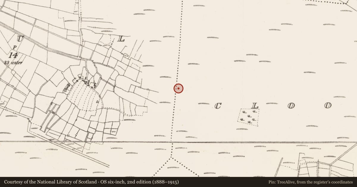 Ordnance Survey six-inch map, 2nd edition (1888–1915) covering the location of Platform - peatland, Caul, County Roscommon, with a pin at the register's coordinates