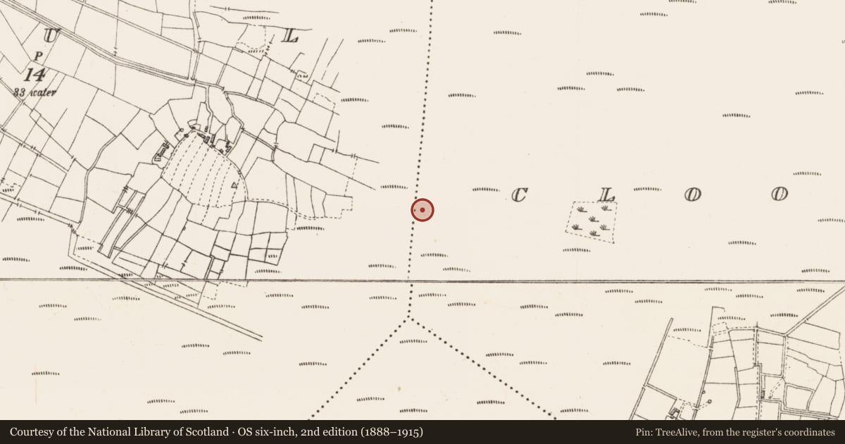 Ordnance Survey six-inch map, 2nd edition (1888–1915) covering the location of Platform - peatland, Caul, County Roscommon, with a pin at the register's coordinates