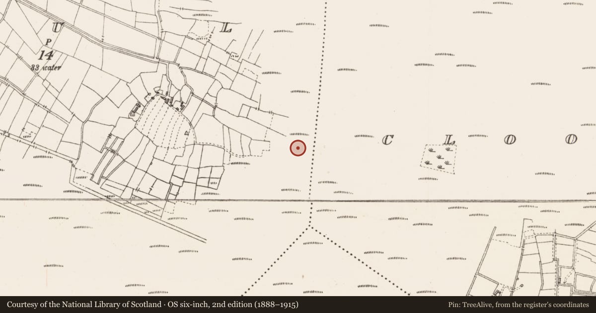 Ordnance Survey six-inch map, 2nd edition (1888–1915) covering the location of Platform - peatland, Caul, County Roscommon, with a pin at the register's coordinates