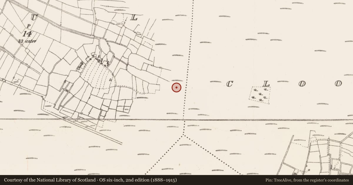 Ordnance Survey six-inch map, 2nd edition (1888–1915) covering the location of Structure - peatland, Cloonshannagh, County Roscommon, with a pin at the register's coordinates