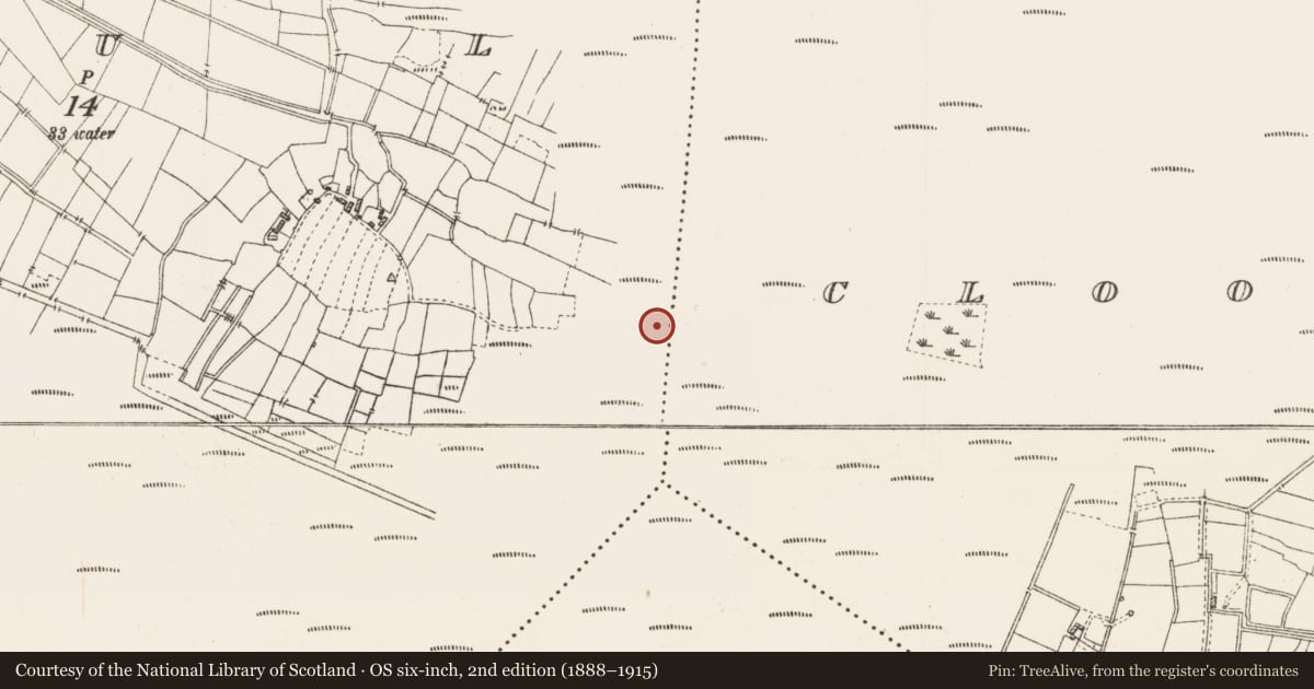 Ordnance Survey six-inch map, 2nd edition (1888–1915) covering the location of Platform - peatland, Caul, County Roscommon, with a pin at the register's coordinates