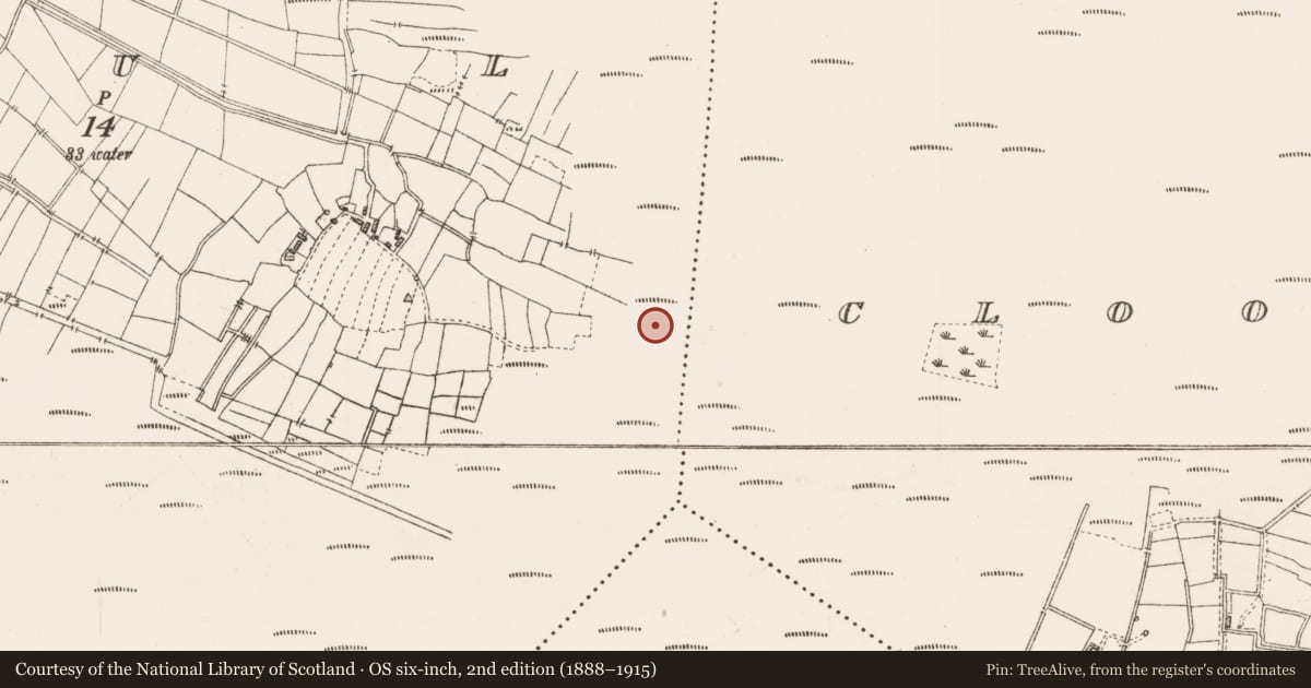 Ordnance Survey six-inch map, 2nd edition (1888–1915) covering the location of Road - class 3 togher, Caul, County Roscommon, with a pin at the register's coordinates