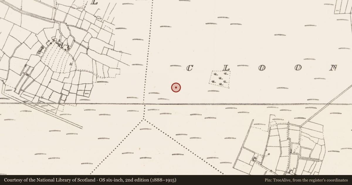 Ordnance Survey six-inch map, 2nd edition (1888–1915) covering the location of Platform - peatland, Caul, County Roscommon, with a pin at the register's coordinates