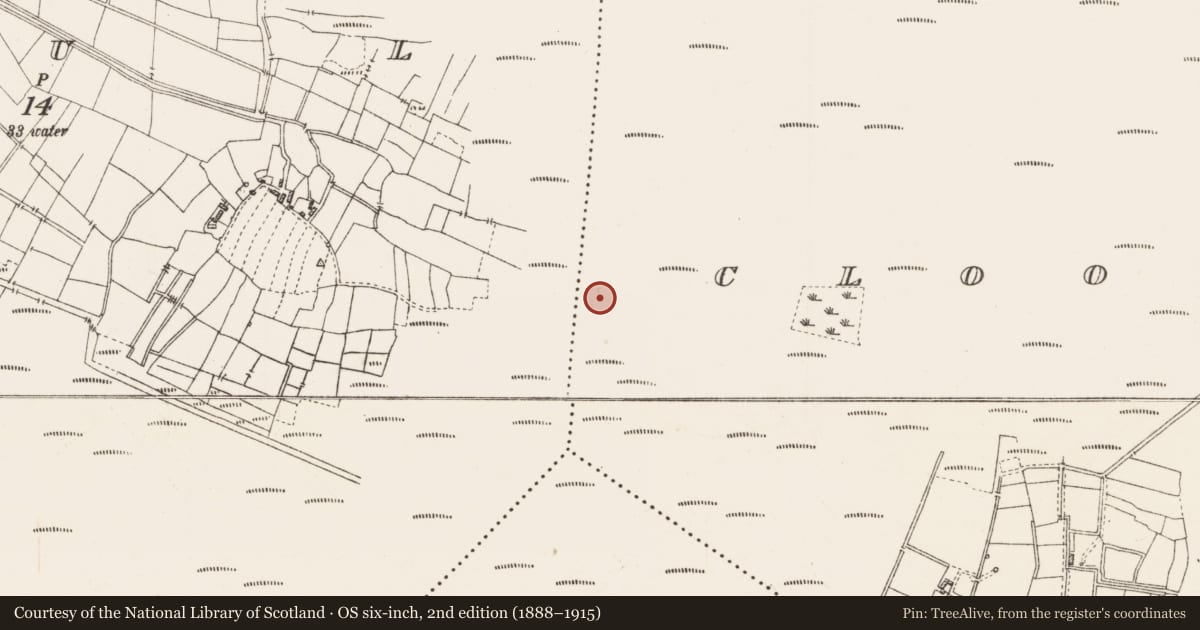 Ordnance Survey six-inch map, 2nd edition (1888–1915) covering the location of Platform - peatland, Cloonshannagh, County Roscommon, with a pin at the register's coordinates