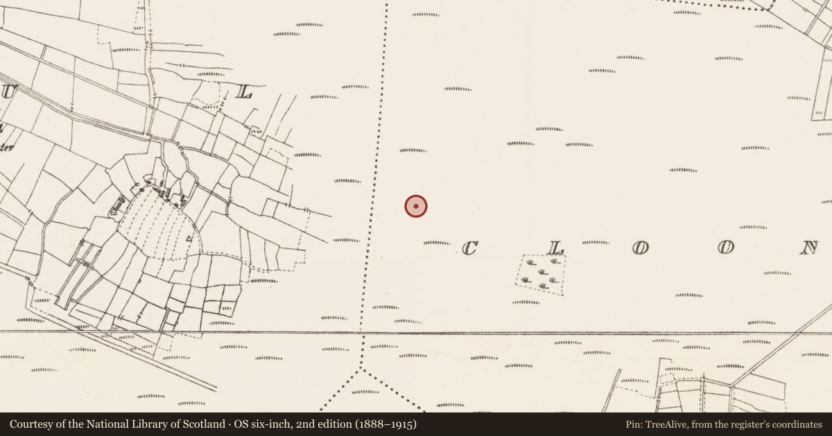 Ordnance Survey six-inch map, 2nd edition (1888–1915) covering the location of Structure - peatland, Cloonshannagh, County Roscommon, with a pin at the register's coordinates