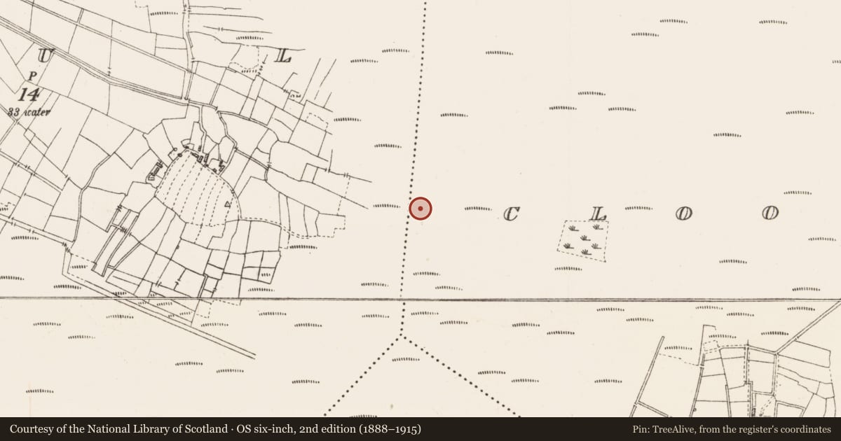Ordnance Survey six-inch map, 2nd edition (1888–1915) covering the location of Platform - peatland, Cloonshannagh, County Roscommon, with a pin at the register's coordinates