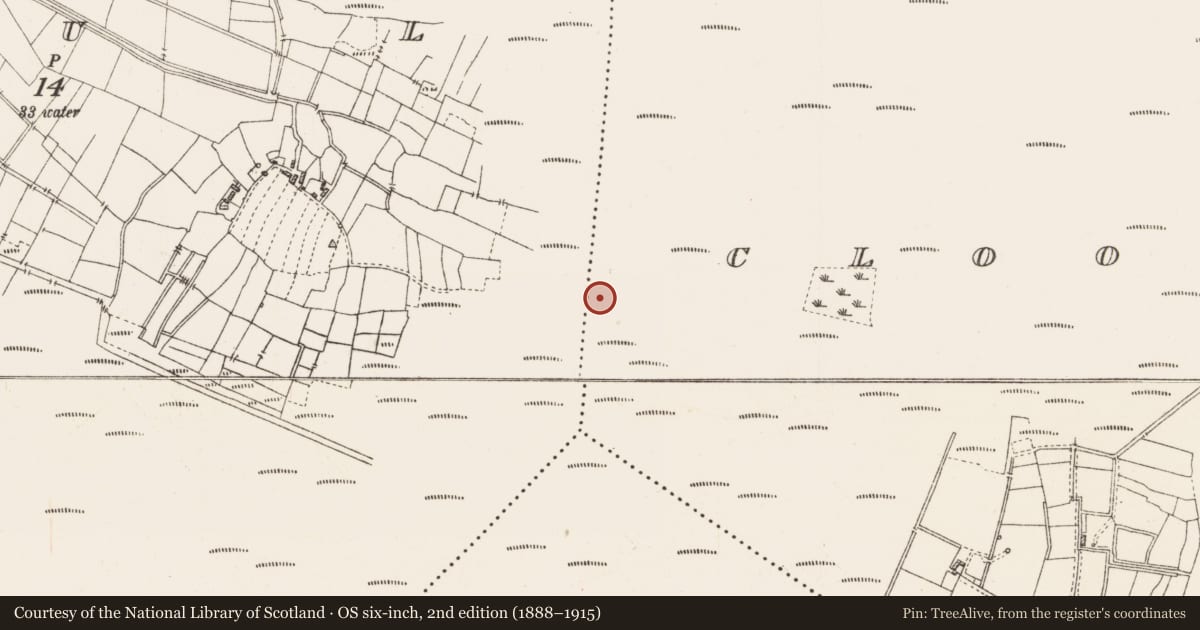 Ordnance Survey six-inch map, 2nd edition (1888–1915) covering the location of Platform - peatland, Caul, Cloonshannagh, County Roscommon, with a pin at the register's coordinates