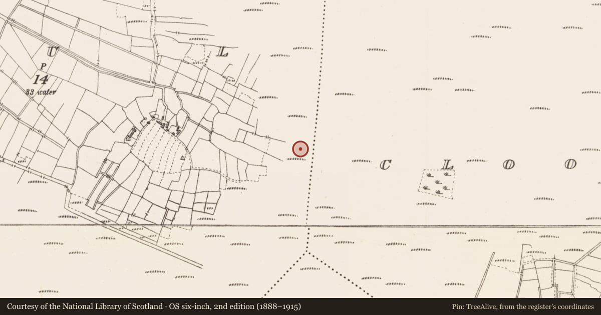 Ordnance Survey six-inch map, 2nd edition (1888–1915) covering the location of Platform - peatland, Caul, County Roscommon, with a pin at the register's coordinates