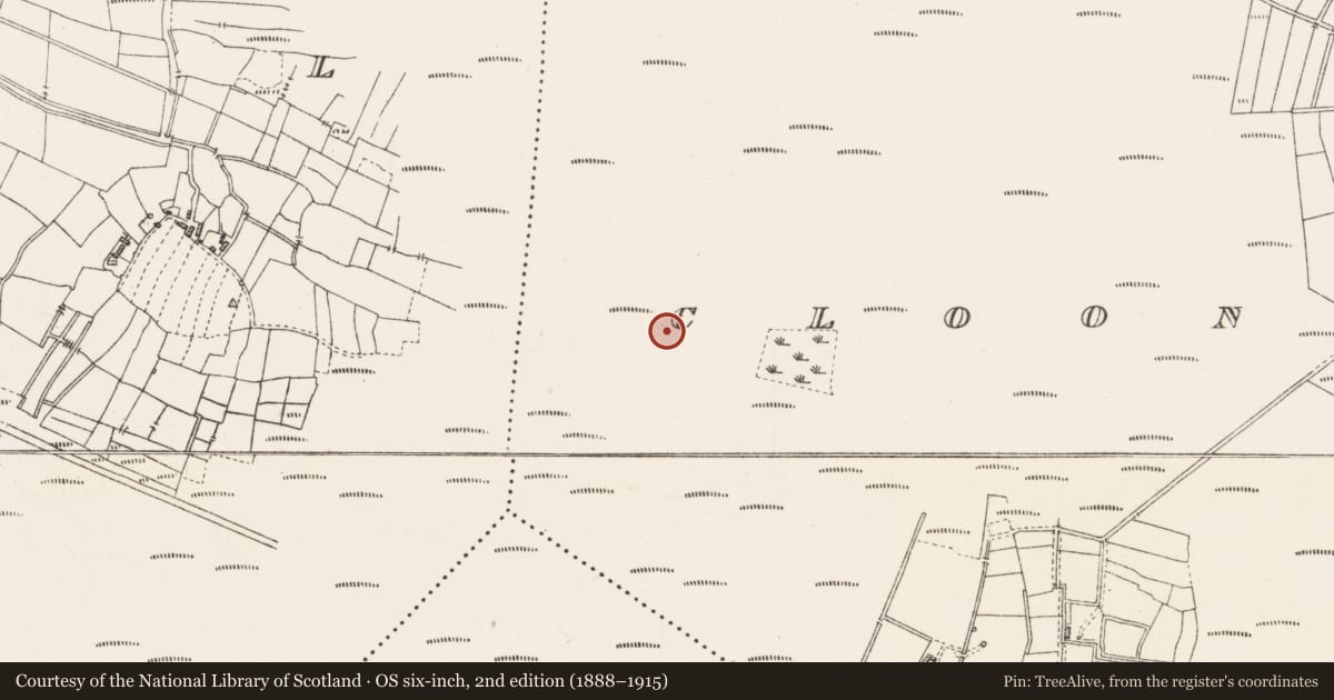 Ordnance Survey six-inch map, 2nd edition (1888–1915) covering the location of Road - class 3 togher, Cloonshannagh, County Roscommon, with a pin at the register's coordinates