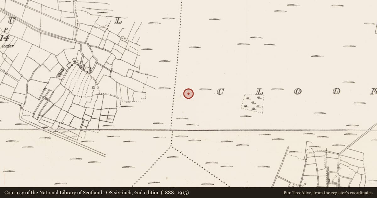 Ordnance Survey six-inch map, 2nd edition (1888–1915) covering the location of Structure - peatland, Cloonshannagh, County Roscommon, with a pin at the register's coordinates