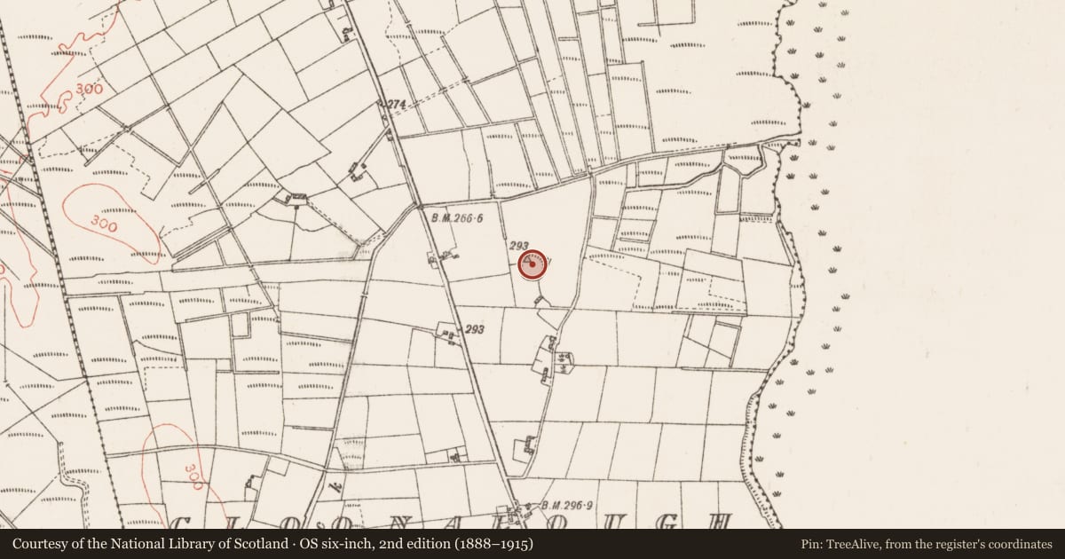 Ordnance Survey six-inch map, 2nd edition (1888–1915) covering the location of Ringfort - rath, Cloonalough, County Roscommon, with a pin at the register's coordinates