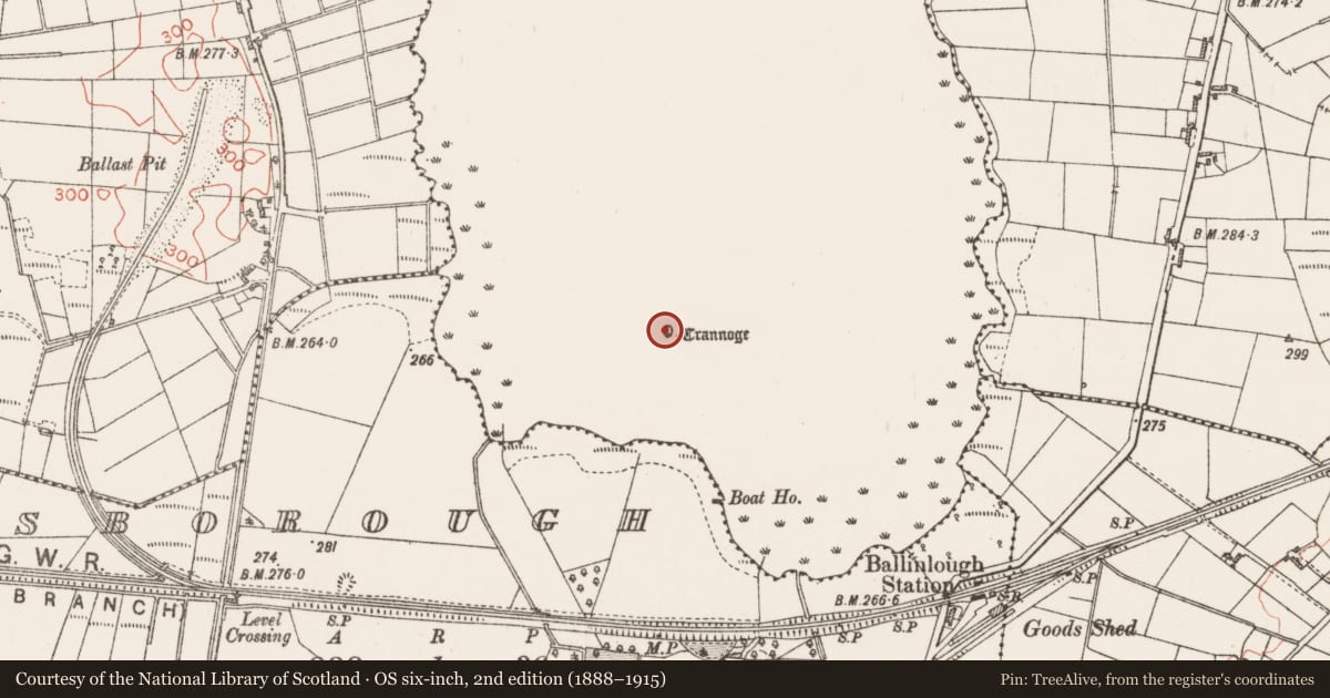 Ordnance Survey six-inch map, 2nd edition (1888–1915) covering the location of Crannog, Lough O'Flynn, County Roscommon, with a pin at the register's coordinates