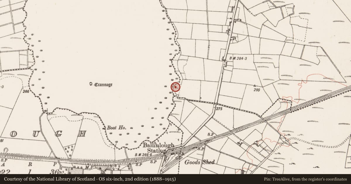 Ordnance Survey six-inch map, 2nd edition (1888–1915) covering the location of Enclosure, Mountain Lower, County Roscommon, with a pin at the register's coordinates